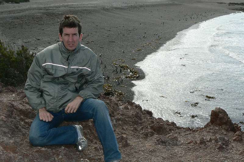 24 Pinguini a Punta Tombo